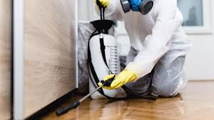 Best Indoor Pest Control  in Bloomgton, IN